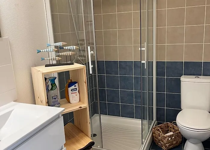 Les Mesanges 8 Personnes Proche Des Plages